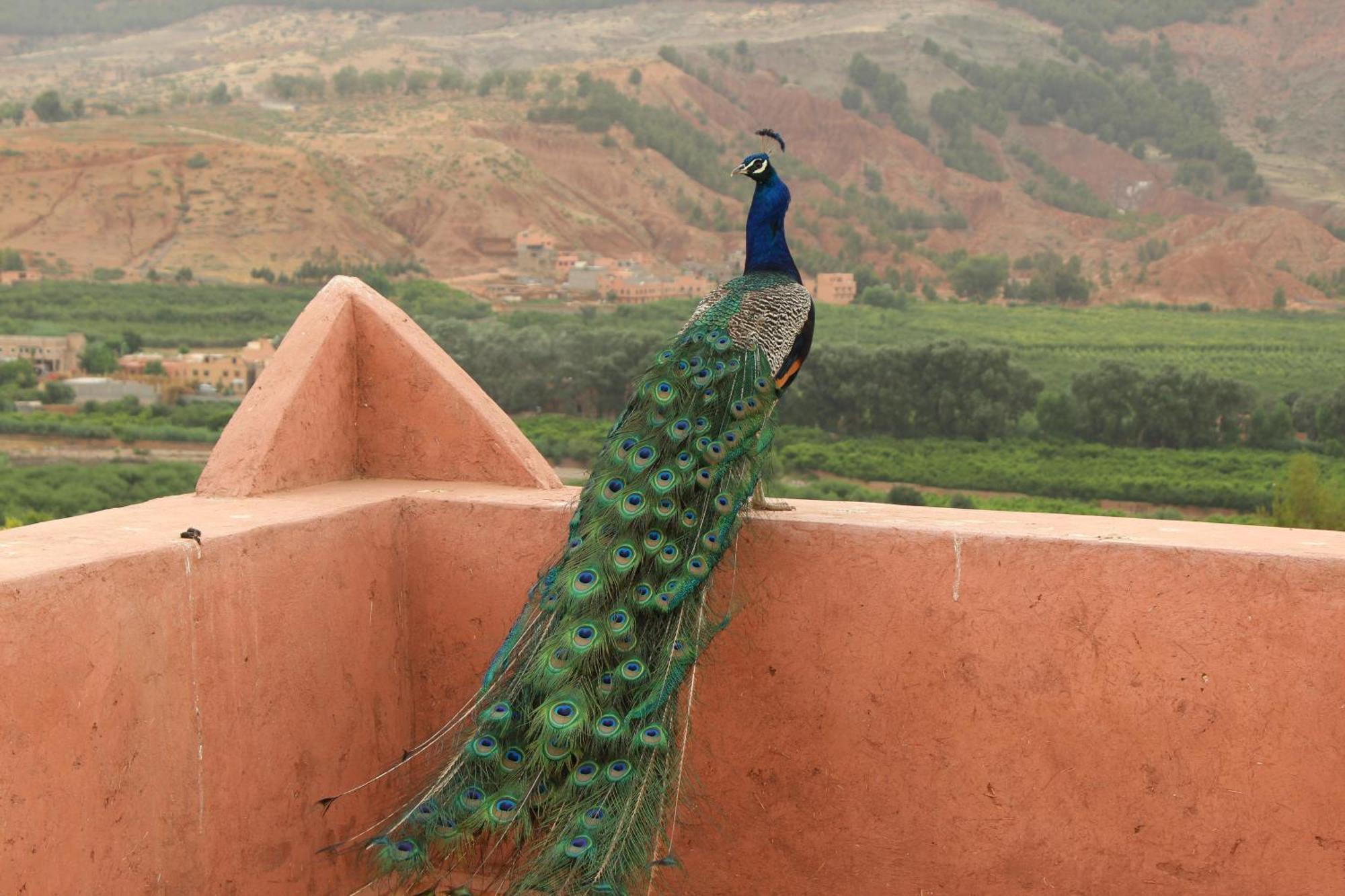 Riad Aslda อัสนี ภายนอก รูปภาพ